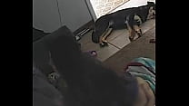 porn bella booty riding hard dick sex
